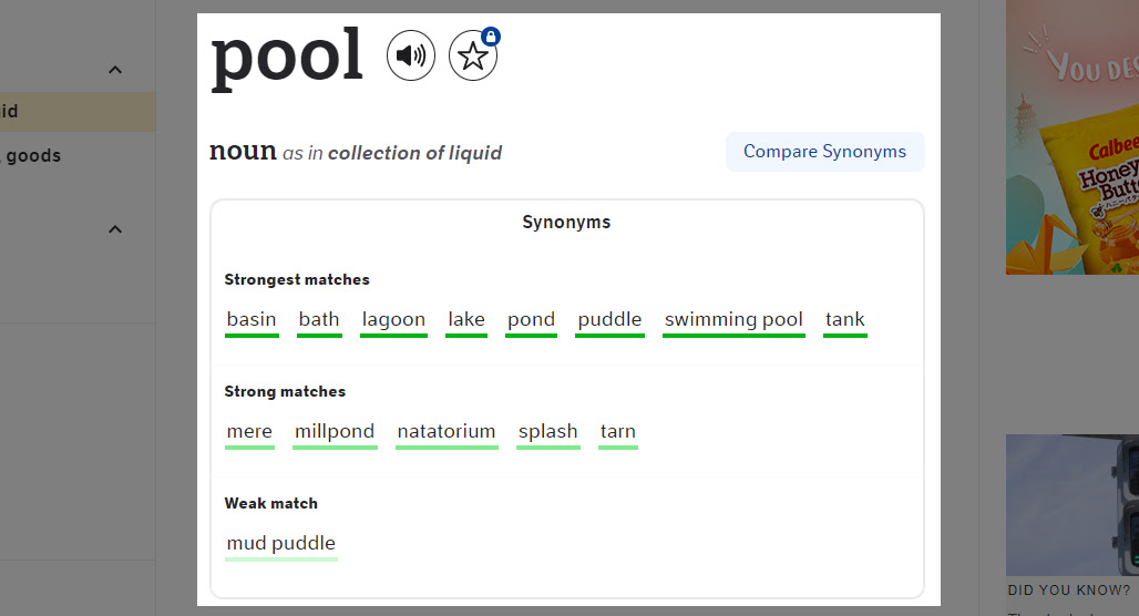 Checking a Thesaurus