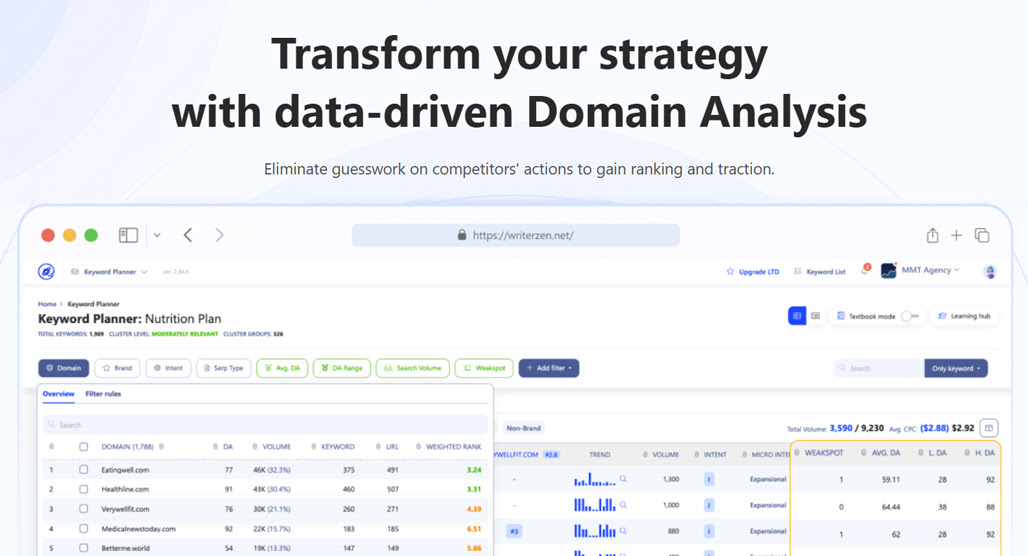 Domain Analysis with WriterZen